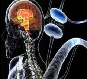 NEUROLOGY - Neuro Spine and Pain
